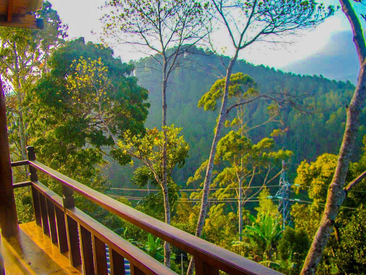 Tina Nature Villa 엘라 외부 사진