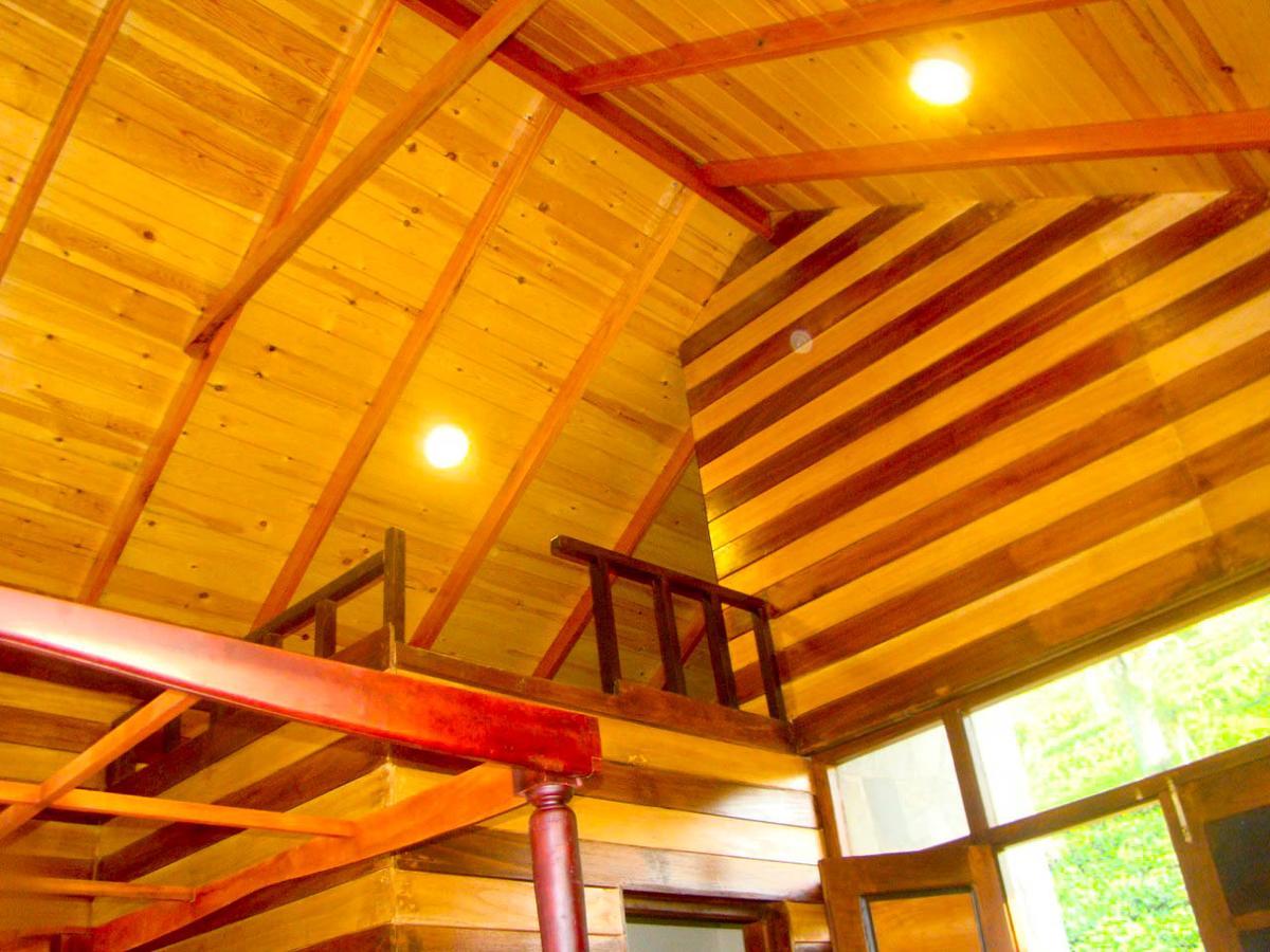 Tina Nature Villa 엘라 외부 사진