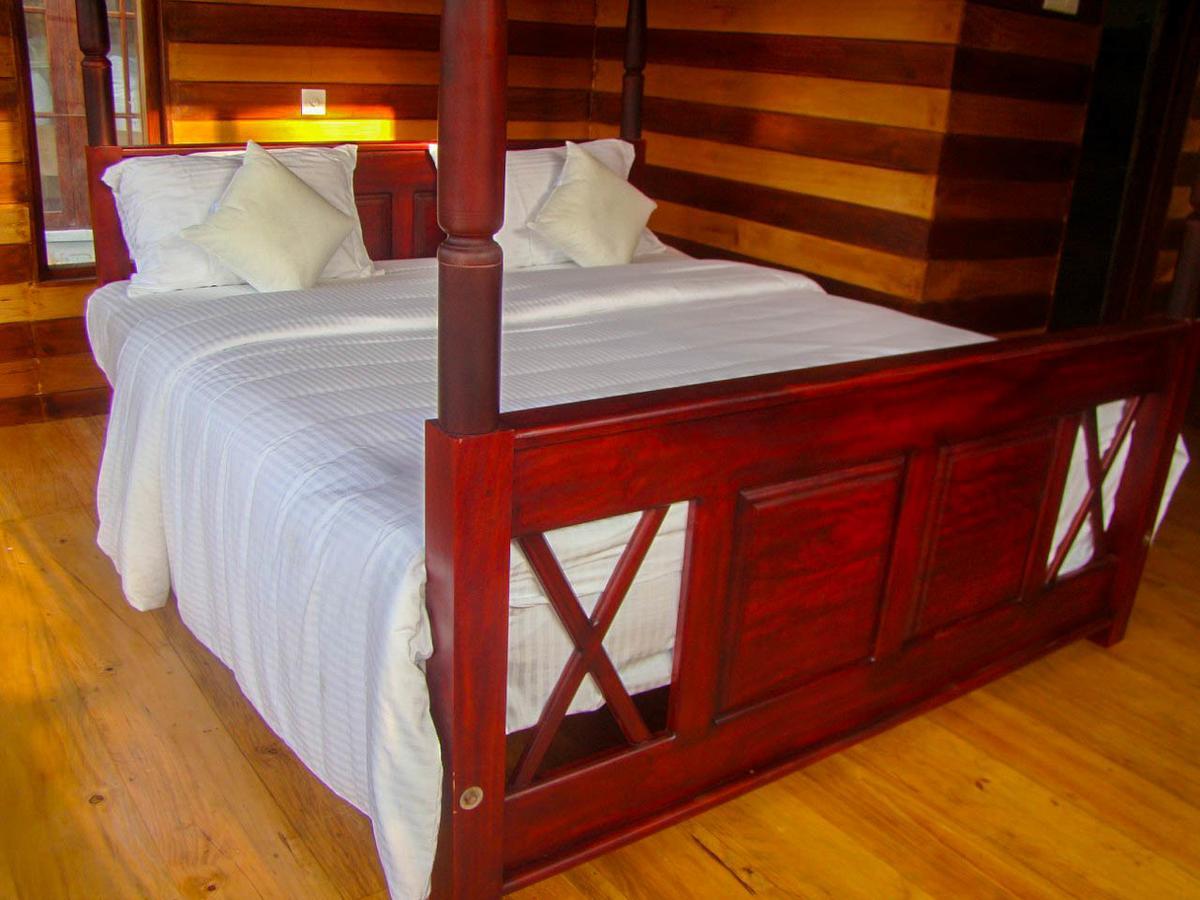 Tina Nature Villa 엘라 외부 사진